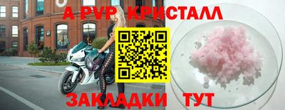 индика Тара