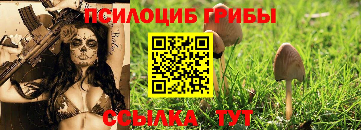Псилоцибиновые грибы мухоморы Алатырь