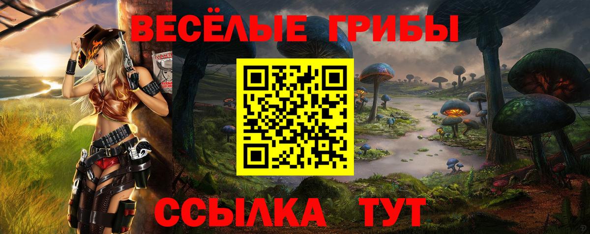 Алатырь  Псилоцибиновые грибы Magic Shrooms  Вход с VPN  Псилоцибиновые грибы Cubensis 